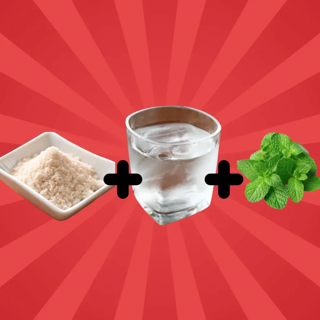 The REAL Japanese Pink Salt Recipe: Authentic vs. The Viral 'Trick' japanese pink salt recipe Bowl of Japanese pink salt, glass of cold water, and fresh mint leaves on a red background with plus signs